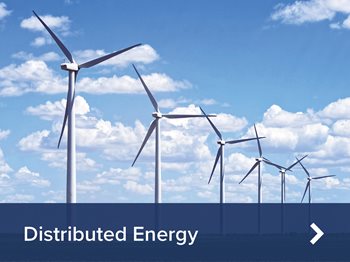 Distributed Energy Resources